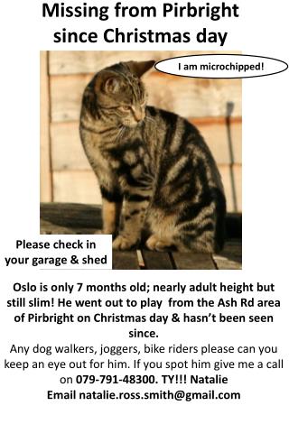 Missing from Pirbright since Christmas day