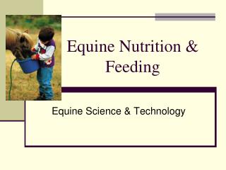 Equine Nutrition &amp; Feeding