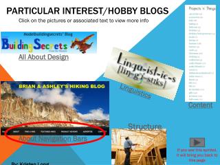 Particular Interest/Hobby Blogs