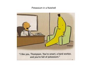 Potassium in a Nutshell