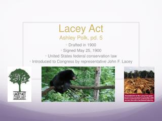 Lacey Act Ashley Polk, pd. 5