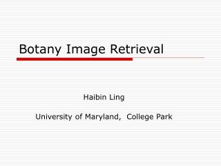 Botany Image Retrieval