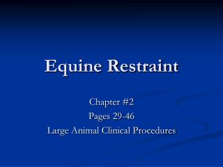 Equine Restraint