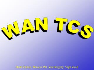 WAN TCS