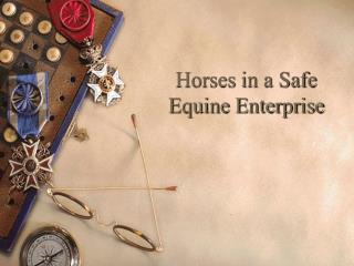 Horses in a Safe Equine Enterprise