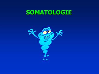 SOMATOLOGIE