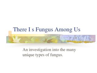 There I s Fungus Among Us