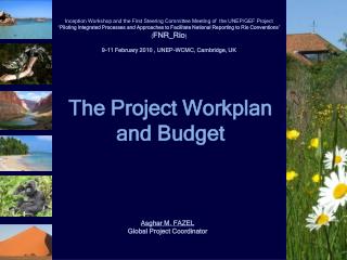 The Project Workplan and Budget