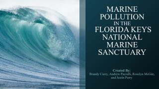 MARINE POLLUTION IN THE FLORIDA KEYS NATIONAL MARINE SANCTUARY