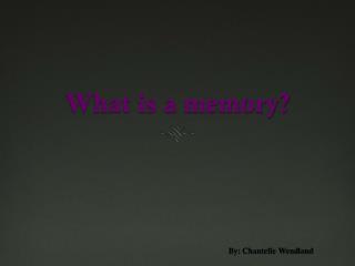 What is a memory?