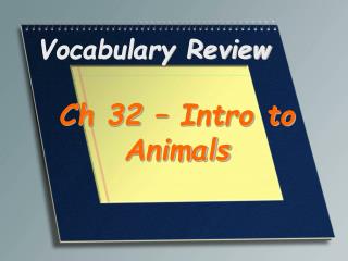 Vocabulary Review