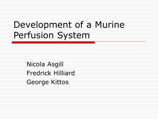 Development of a Murine Perfusion System