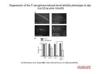 CE Richardson et al. Nature 463 , 1092-1095 (2010) doi:10.1038/nature08762