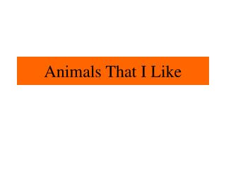 Animals That I Like