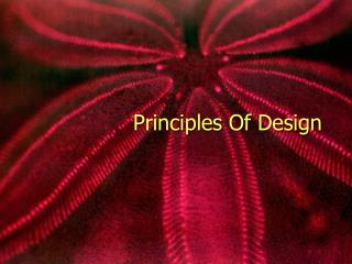 Principles Of Design