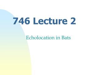 746 Lecture 2