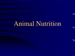 Animal Nutrition