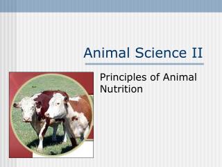 Animal Science II