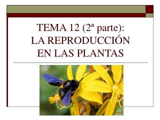 TEMA 12 (2ª parte): LA REPRODUCCIÓN EN LAS PLANTAS