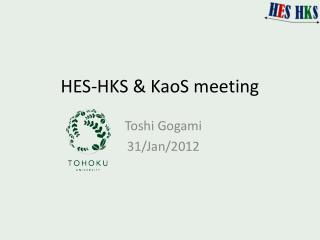 HES-HKS &amp; KaoS meeting