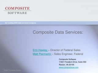 Composite Data Services: