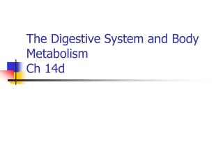 The Digestive System and Body Metabolism Ch 14d