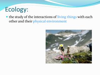 Ecology: