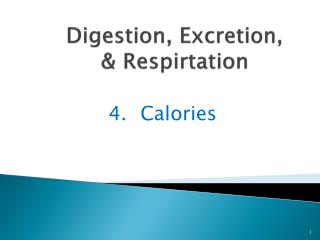 Digestion, Excretion, & Respirtation