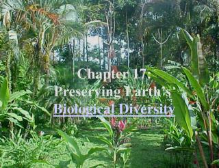 Chapter 17: Preserving Earth’s Biological Diversity