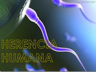 HERENCIA HUMANA