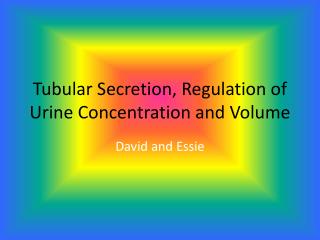 Tubular Secretion, Regulation of Urine Concentration and Volume