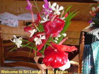 Welcome to Sri Lanka - Ayu bowan