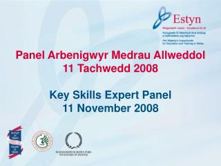 Panel Arbenigwyr Medrau Allweddol 11 Tachwedd 2008 Key Skills Expert Panel 11 November 2008