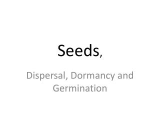 Seeds ,