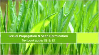 Sexual Propagation &amp; Seed Germination