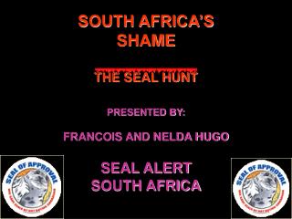 SOUTH AFRICA’S SHAME THE SEAL HUNT