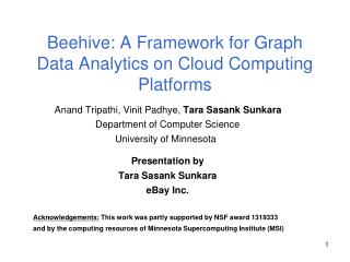 Beehive: A Framework for Graph Data Analytics on Cloud Computing Platforms