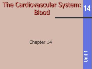 The Cardiovascular System: Blood