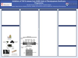 Inhibition of TGF-ß release from SHED Cells in Fibrodysplasia Ossificans Progressiva