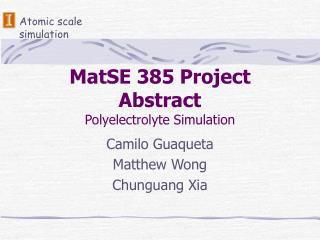 MatSE 385 Project Abstract Polyelectrolyte Simulation