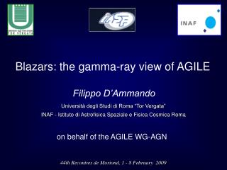 Blazars: the gamma-ray view of AGILE