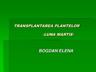TRANSPLANTAREA PLANTELOR -LUNA MARTIE-