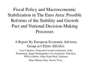 Fiscal Policy and Macroeconomic Stabilization in The Euro Area: Possible Reforms of the Stability and Growth Pact and Na