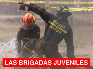 LAS BRIGADAS JUVENILES