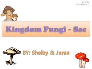 Kingdom Fungi - Sac