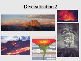 Diversification 2