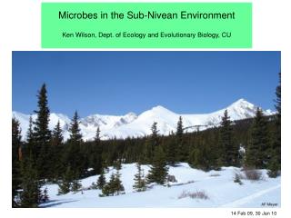Microbes in the Sub-Nivean Environment Ken Wilson, Dept. of Ecology and Evolutionary Biology, CU