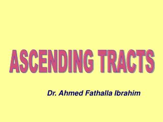 ASCENDING TRACTS