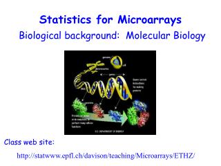 Statistics for Microarrays