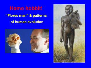 Homo hobbit! “ Flores man ” &amp; patterns of human evolution